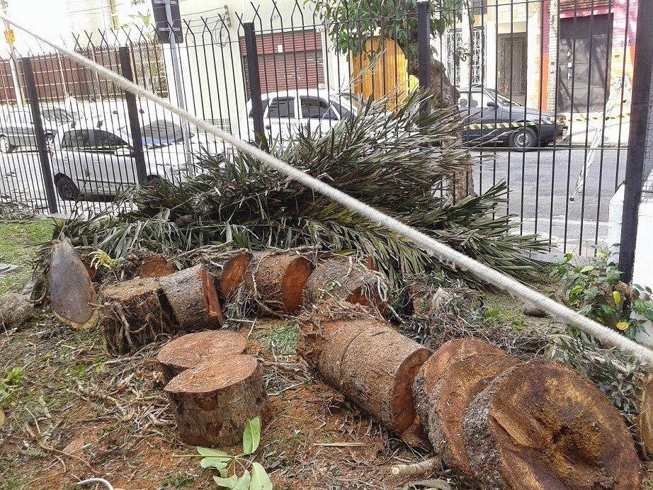 Remoções - Condomínio Panorama (Belenzinho)
