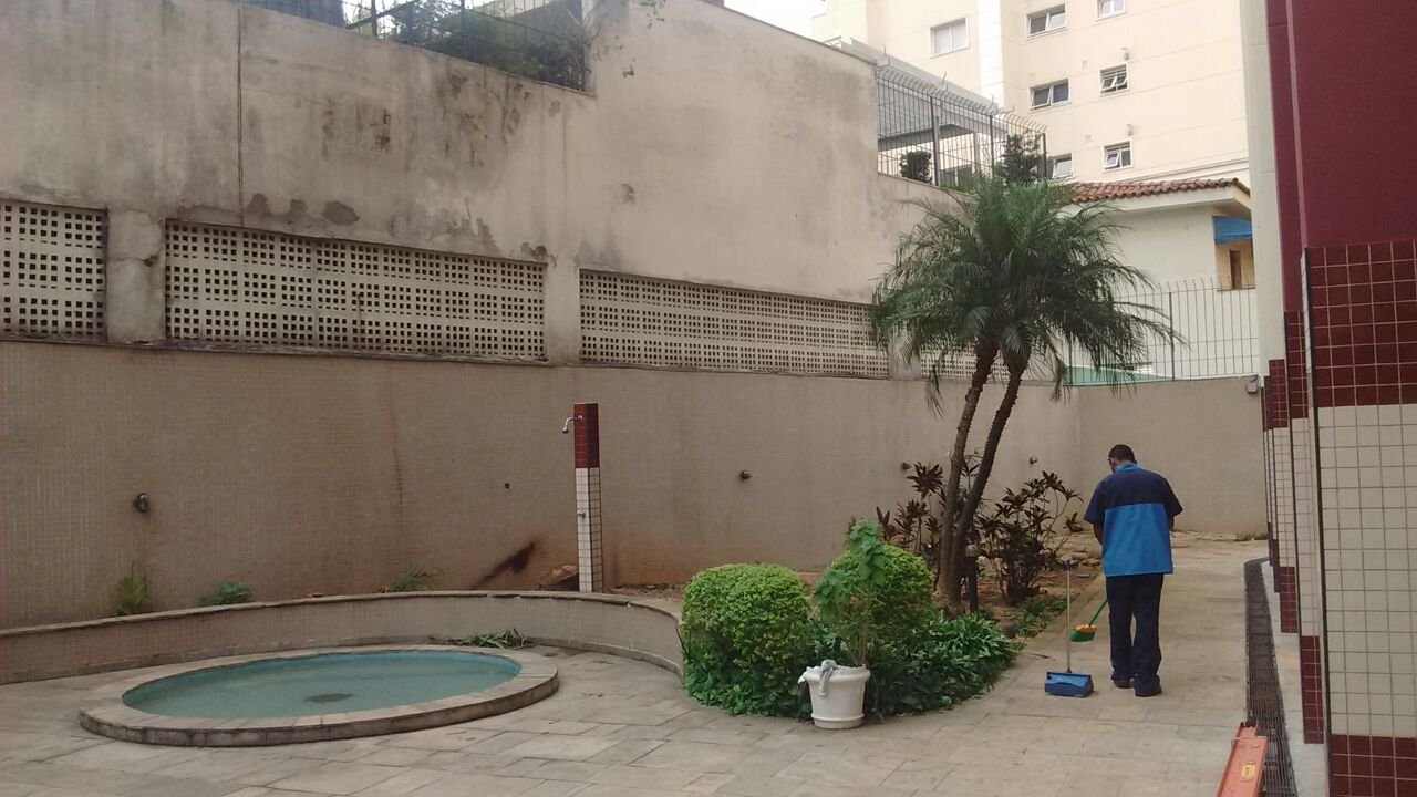 Remoção de 1 Palmeira - Condomínio na Casa Verde