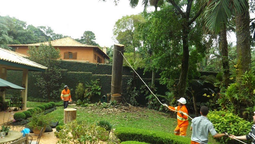 Serviços realizados na Chácara Flora