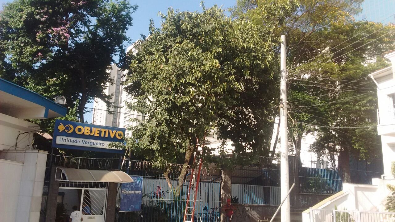 Poda de 1 Pata de Vaca - Tênis Clube Paulista