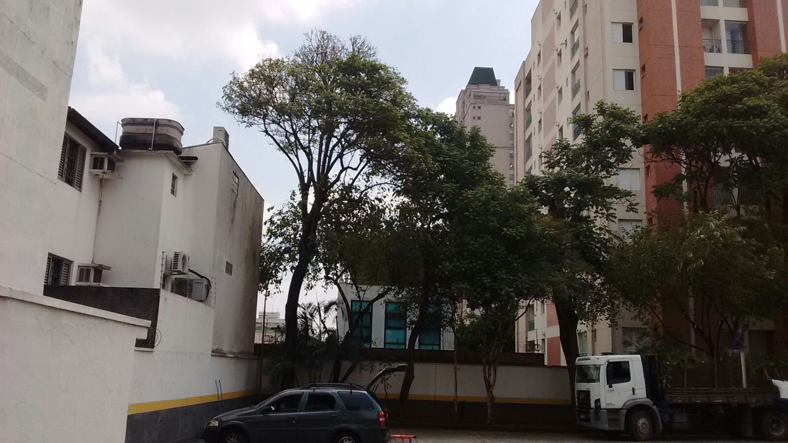 Poda de árvores - Banco Bradesco Vila Mariana