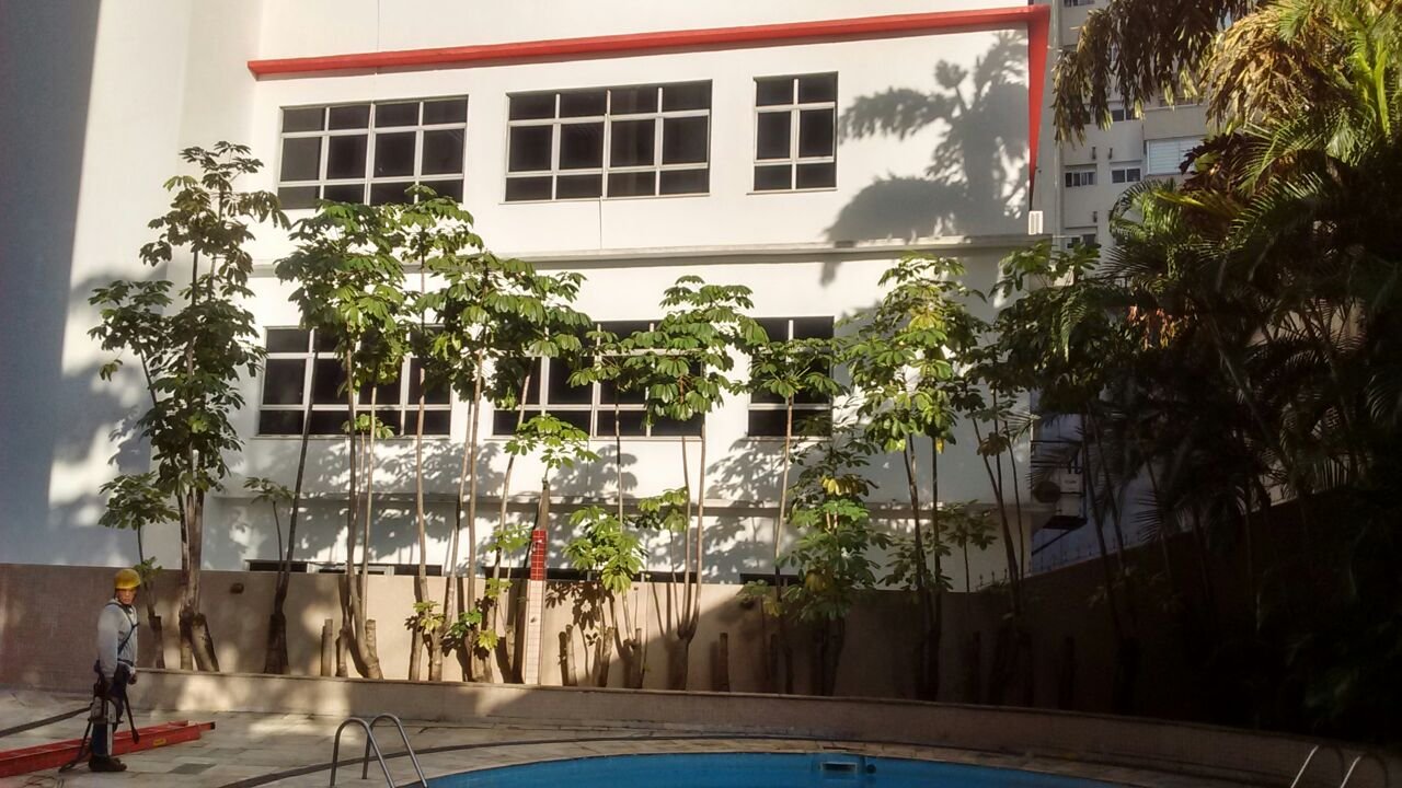 Remoção de 17 árvores - Condomínio na Casa Verde